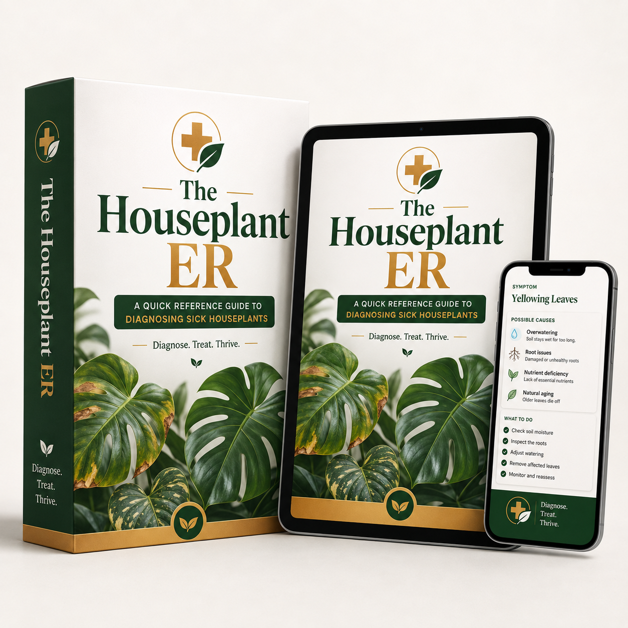The Houseplant ER